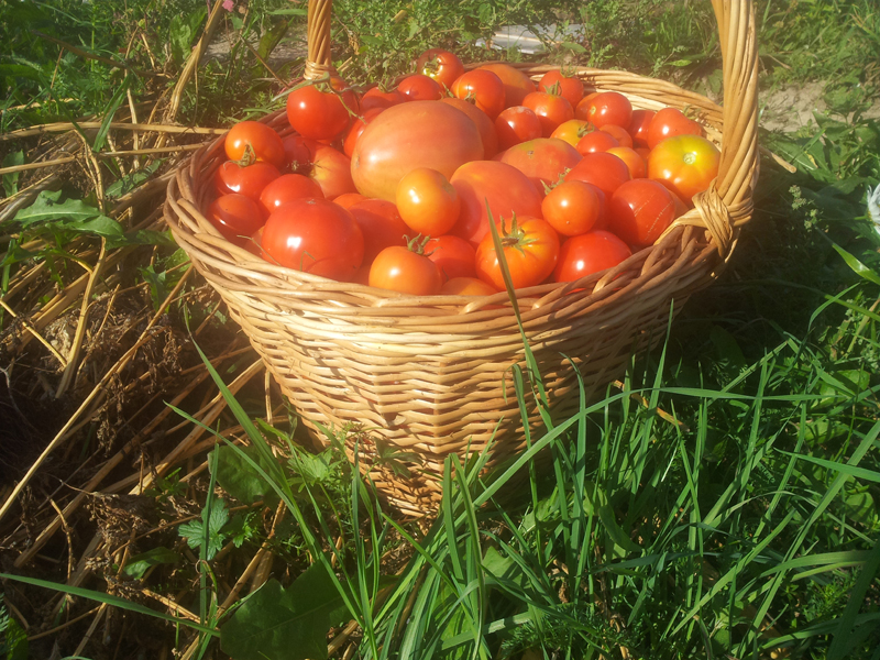 20130825_170925-2.jpg