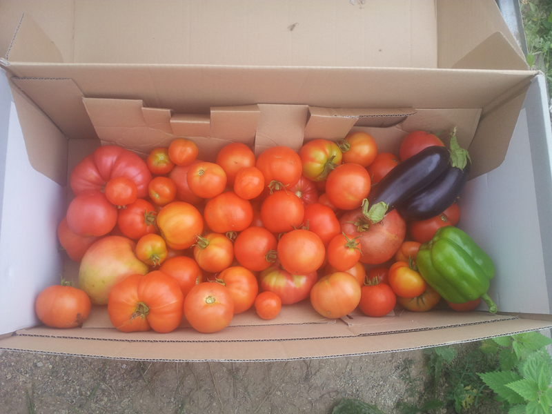 20130831_154627-2.jpg