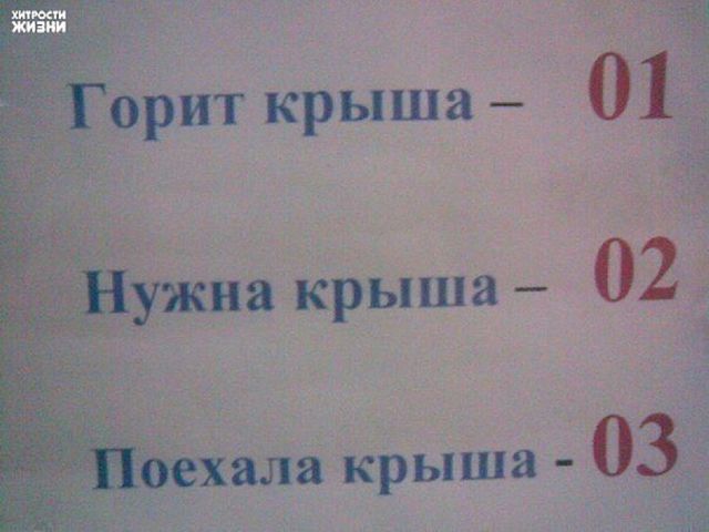 498_original.jpg